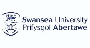 Swansea University